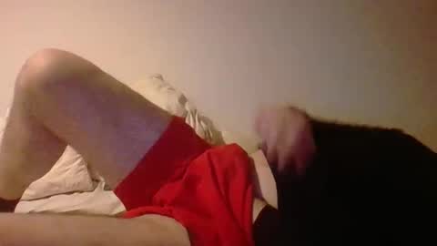 Pollonreus online show from 16, 4, 2026