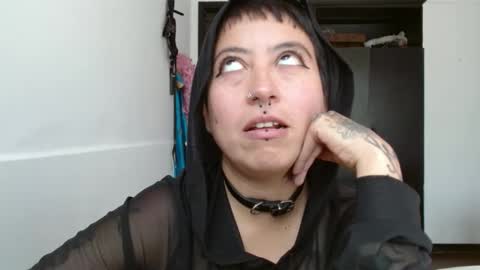 Poly online show from 22, 1, 2025