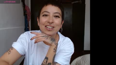 Poly online show from 29, 1, 2025