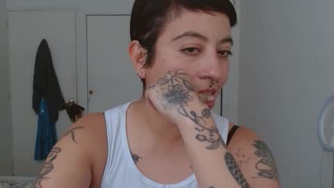 Poly online show from 2, 10, 2025