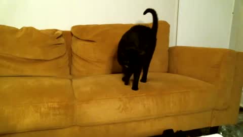 Popas Kiss online show from 9, 9, 2025