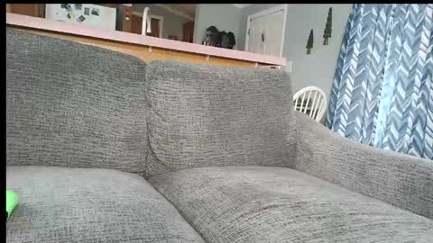 powerstroke345 online show from 7, 3, 2026