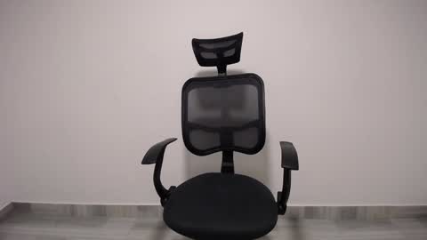 Plux online show from 8, 12, 2024