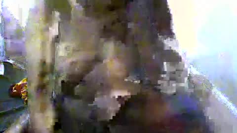 pretty_barbz online show from 8, 3, 2025