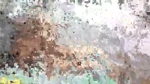 Snapshot of prettybabe02 chatting on 12, 9, 2025 SaraCattra online show from 12, 9, 2025