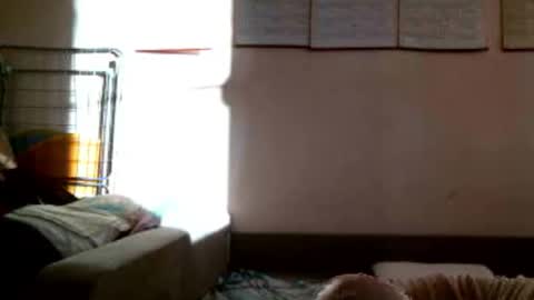 Bella online show from 3, 11, 2025