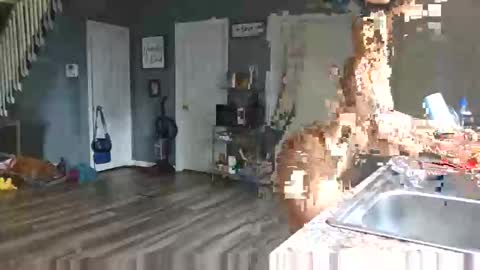 Pink Pussy69 online show from 15, 4, 2026