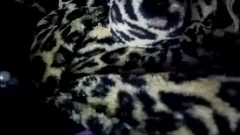 Snapshot of prettyimaa chatting on 21, 1, 2025 prettyma online show from 21, 1, 2025