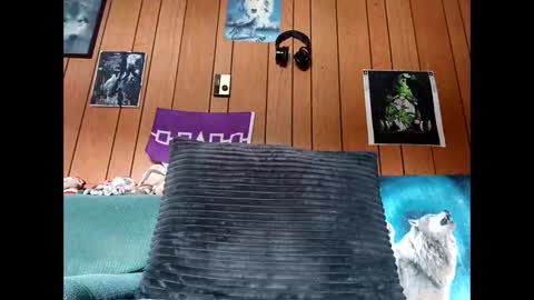 Snapshot of prettysolid7 chatting on 13, 10, 2025 prettysolid7 online show from 13, 10, 2025