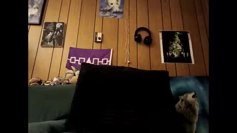 Snapshot of prettysolid7 chatting on 15, 10, 2025 prettysolid7 online show from 15, 10, 2025