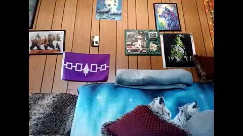 Snapshot of prettysolid7 chatting on 1, 3, 2026 prettysolid7 online show from 1, 3, 2026