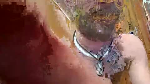 Snapshot of prettysolidd7 chatting on 2, 12, 2024 prettysolidd7 online show from 2, 12, 2024