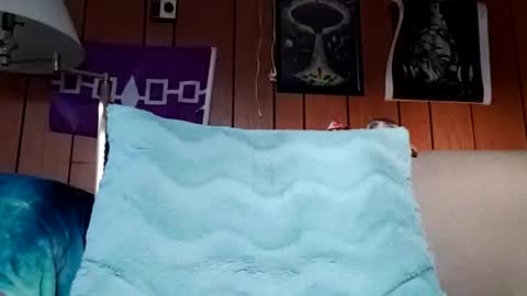 Snapshot of prettysolidd7 chatting on 16, 12, 2024 prettysolidd7 online show from 16, 12, 2024