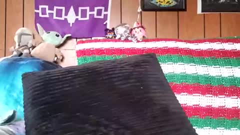 Snapshot of prettysolidd7 chatting on 4, 1, 2025 prettysolidd7 online show from 4, 1, 2025