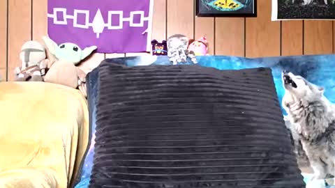 Snapshot of prettysolidd7 chatting on 5, 1, 2025 prettysolidd7 online show from 5, 1, 2025