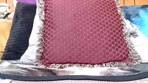 Snapshot of prettysolidd7 chatting on 20, 1, 2025 prettysolidd7 online show from 20, 1, 2025