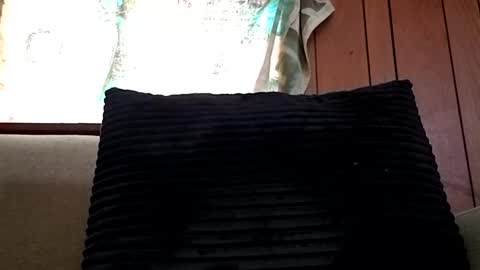 Snapshot of prettysolidd7 chatting on 15, 2, 2025 prettysolidd7 online show from 15, 2, 2025