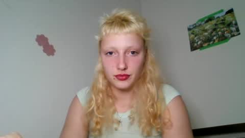 Dahlia online show from 5, 12, 2024