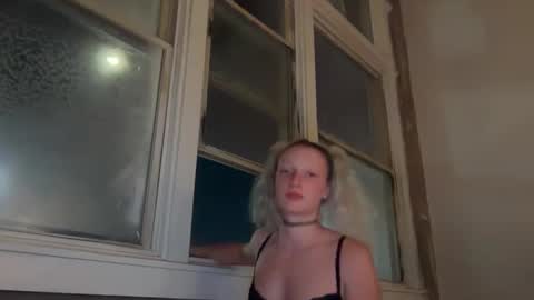 Dahlia online show from 28, 9, 2025