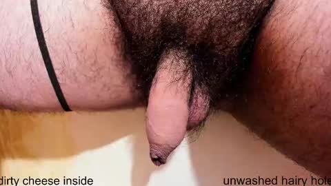 Snapshot of prettyvelludo chatting on 9, 11, 2025 HAIRY GOD online show from 9, 11, 2025