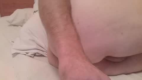 primalica2024 online show from 17, 12, 2024