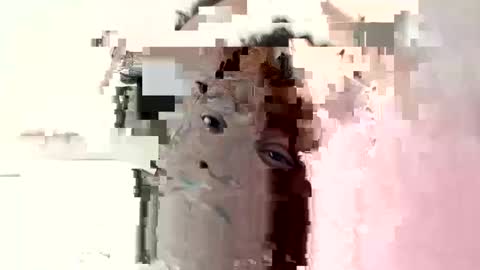 Princess Asshole online show from 6, 10, 2025