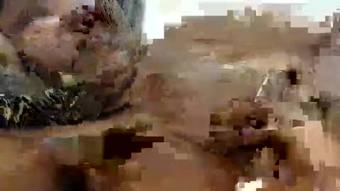 Princess Asshole online show from 9, 10, 2025