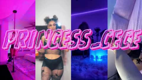 Snapshot of princess_cece chatting on 8, 12, 2024 Cece NEXT LIVESTREAM -- DEC. 4th 7 PM CST online show from 8, 12, 2024