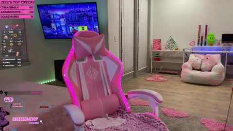 Snapshot of princess_cece chatting on 12, 2, 2025 Cece NEXT LIVESTREAM -- DEC. 4th 7 PM CST online show from 12, 2, 2025