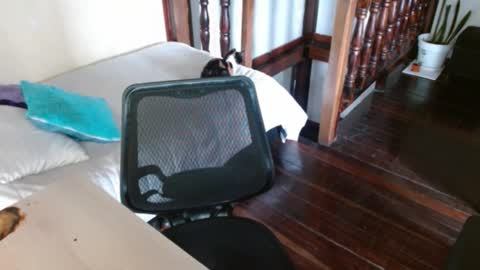 prismm_ online show from 14, 9, 2025