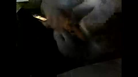 Clothingoptional online show from 2, 12, 2025