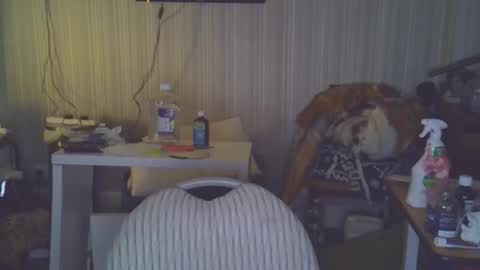 projectorepson online show from 20, 3, 2026