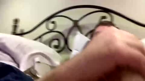 protostarr online show from 30, 1, 2025