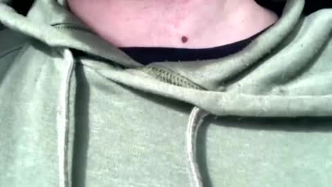 protostarr online show from 7, 2, 2025