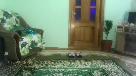 Snapshot of proud_sweet_21 chatting on 21, 12, 2024 proud sweet 21 online show from 21, 12, 2024