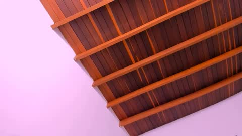 Snapshot of pscis_69 chatting on 16, 12, 2024 Mara online show from 16, 12, 2024