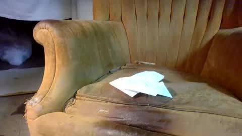 pspee313 online show from 28, 2, 2026