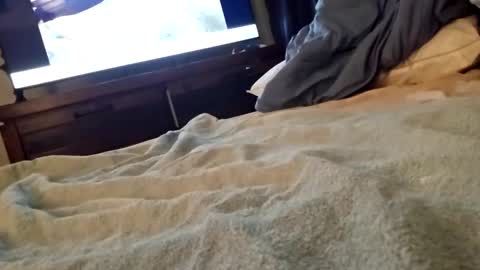 ptut82 online show from 18, 9, 2025