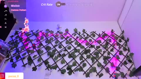 Snapshot of pucaa_ chatting on 31, 1, 2025 Emma Rico model indep online show from 31, 1, 2025