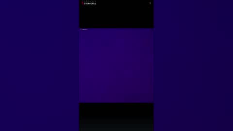 puddled_wonderland online show from 6, 2, 2026