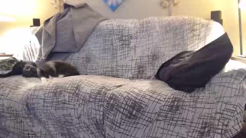 Snapshot of puff0169 chatting on 12, 2, 2026 puff0169 online show from 12, 2, 2026