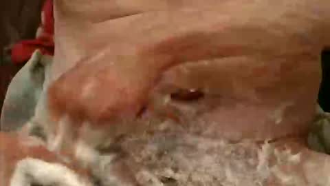 Snapshot of pulepower chatting on 23, 11, 2025 pulepower online show from 23, 11, 2025