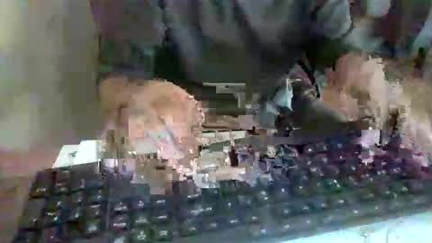 Snapshot of pup_y chatting on 17, 9, 2025 pup_y online show from 17, 9, 2025