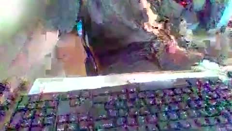 Snapshot of pup_y chatting on 20, 9, 2025 pup_y online show from 20, 9, 2025