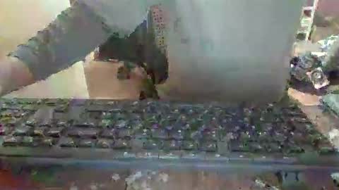 Snapshot of pup_y chatting on 14, 12, 2025 pup_y online show from 14, 12, 2025