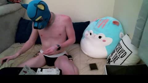 Snapshot of puporion chatting on 19, 12, 2024 Pup Orion online show from 19, 12, 2024