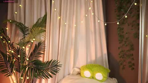 constant schedule Wednesday  Friday  Saturday  Sunday  The Rosemarie online show from 13, 9, 2025