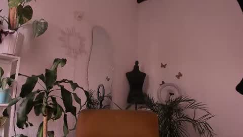 Snapshot of purple_opal chatting on 6, 8, 2026 Vero online from Tuesday to Sunday online show from 6, 8, 2026