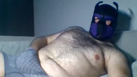 purple_pup_bear online show from 6, 8, 2026