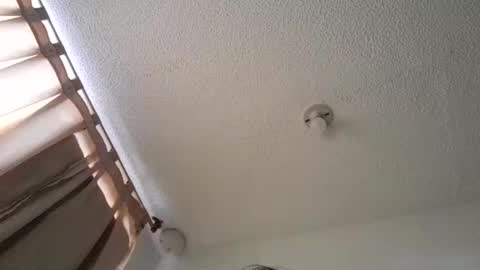 Snapshot of pussy_happy0 chatting on 3, 12, 2024 pussy_happy0 online show from 3, 12, 2024